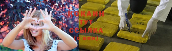 скорость Алзамай
