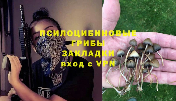 спайс Алексеевка