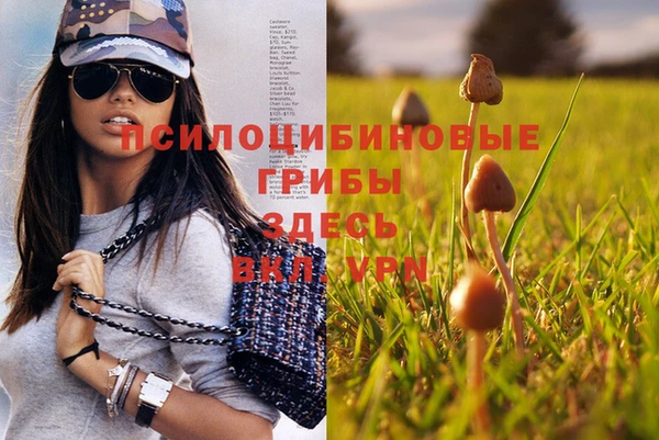 шишки Алексин