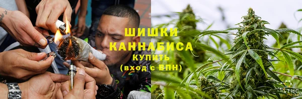 шишки Алексин