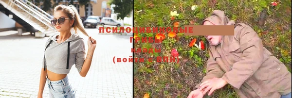 шишки Алексин