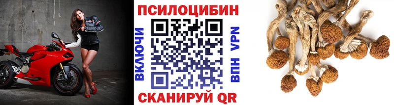 блэк спрут ONION  купить закладку  darknet клад  Псилоцибиновые грибы мухоморы  Миньяр 